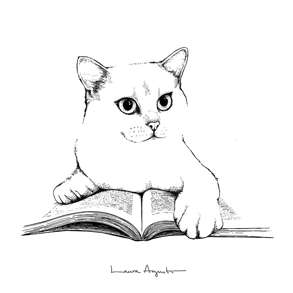 Ilustración Laura Agustí | Print Cat & Book