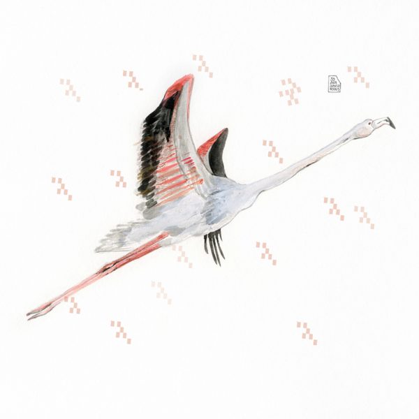 Print Joana Santamans - Flamenco volando