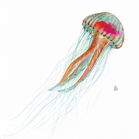 Print Joana Santamans - Jellyfish