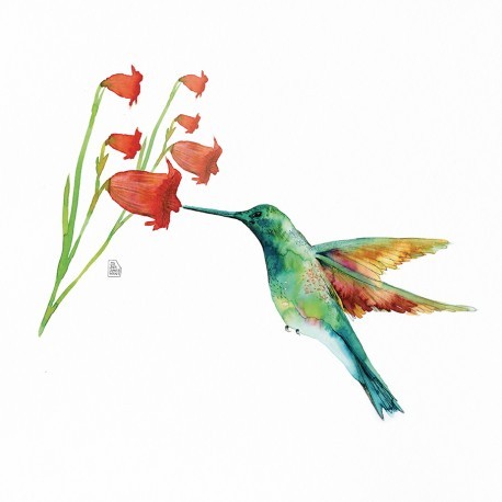 Print Joana Santamans - Hummingbird Love