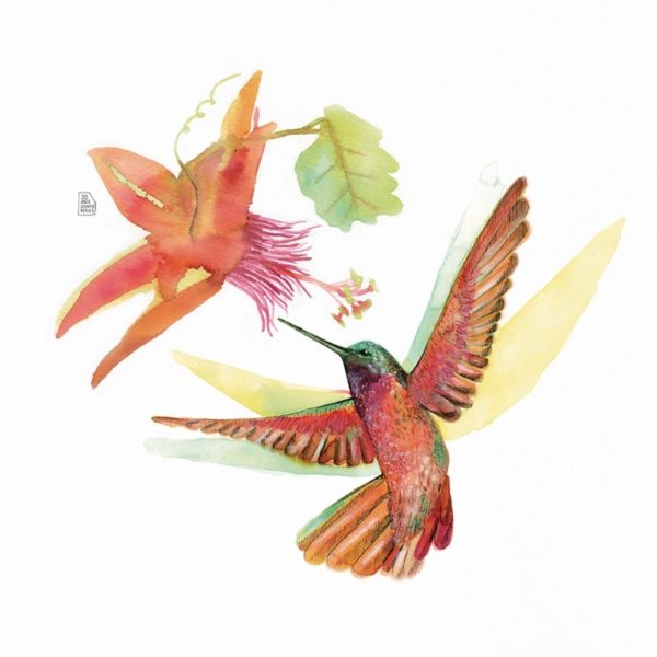 Print Joana Santamans - Hummingbird Love flor filamentos