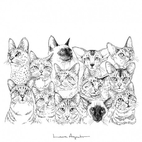 Laura Agustí - Cats