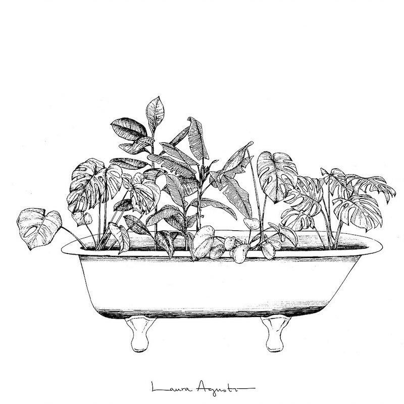 Laura Agustí - Botanical bath