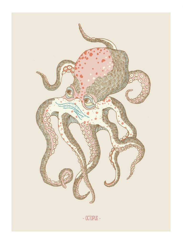 Ana de Lima - Octopus
