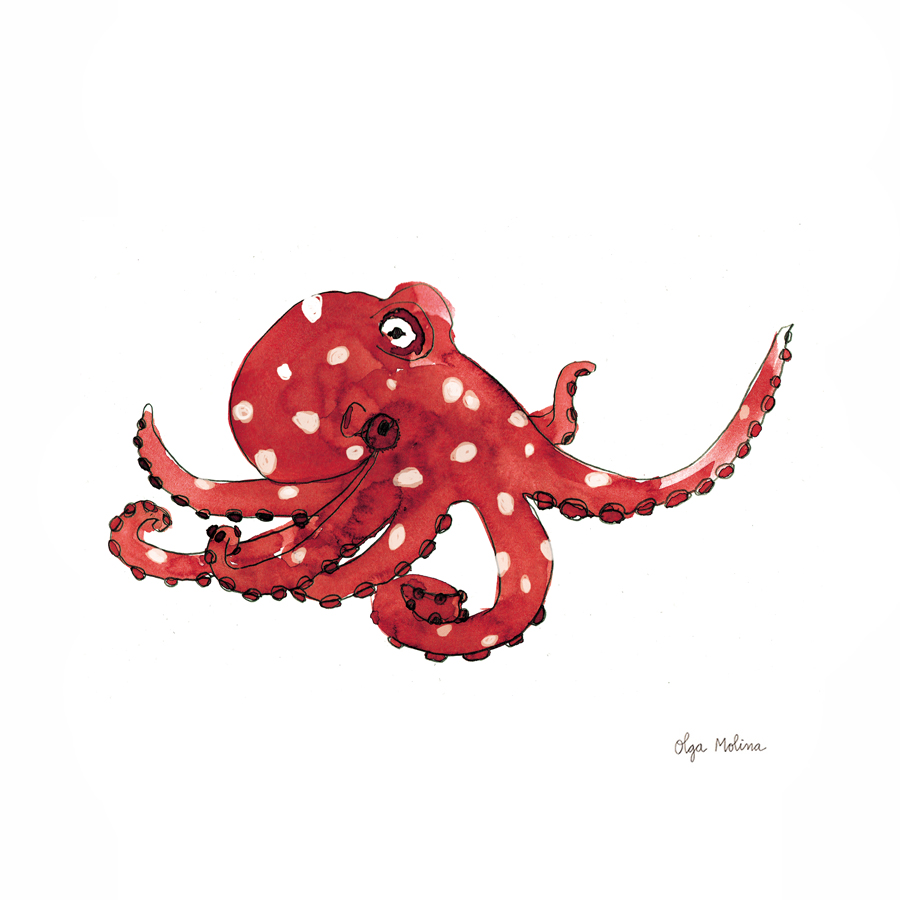 Lámina decorativa Olga Molina - Print Octopus