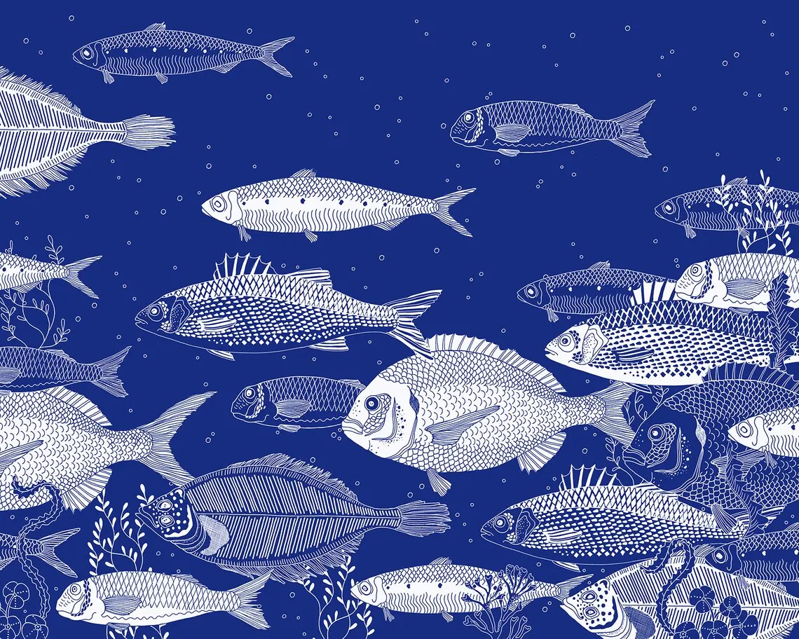 Ana de Lima - Print Atlántico Coral Azul