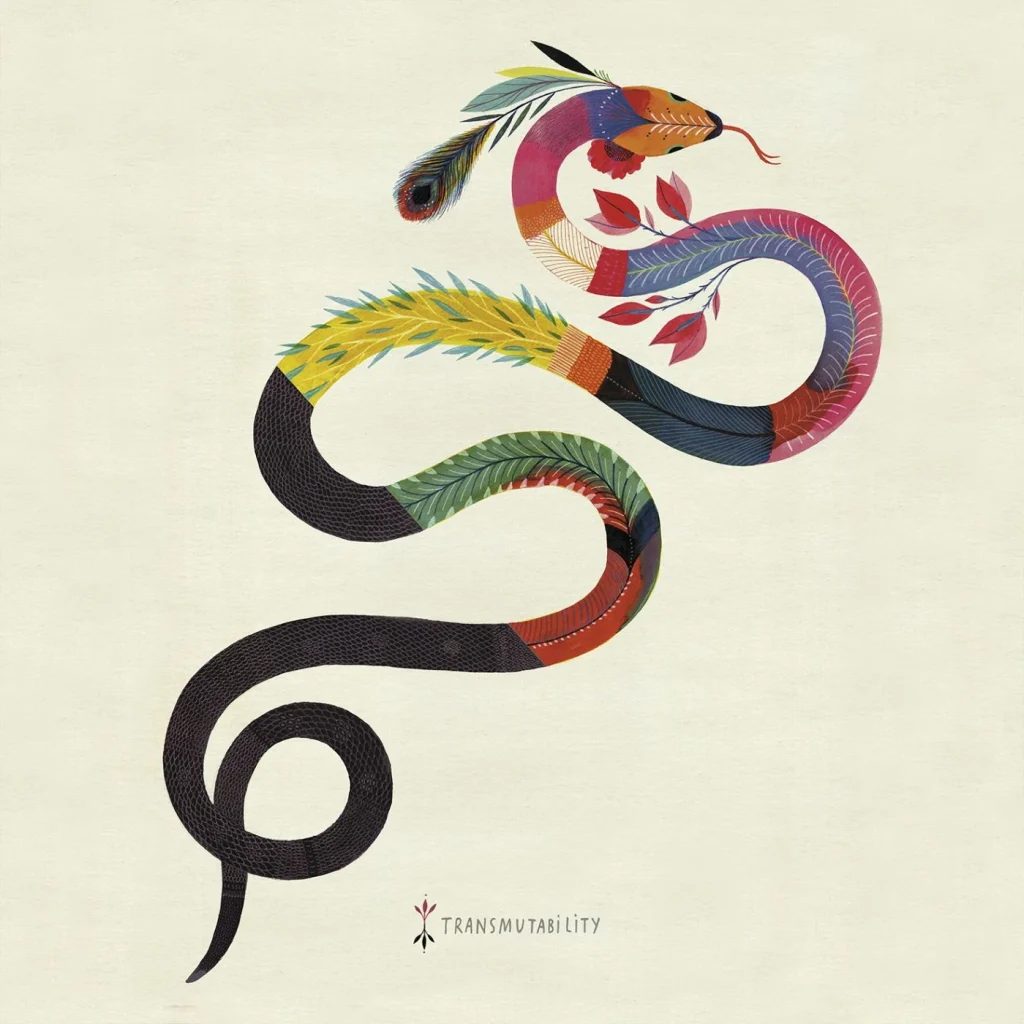 The Invisible Circle - print Transmutability